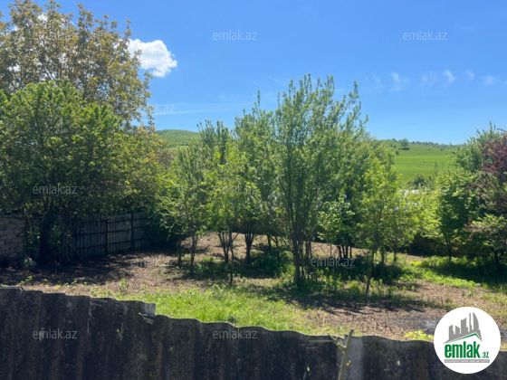 Satılır 6 sot torpaq İsmayıllı — Torpaq (12)