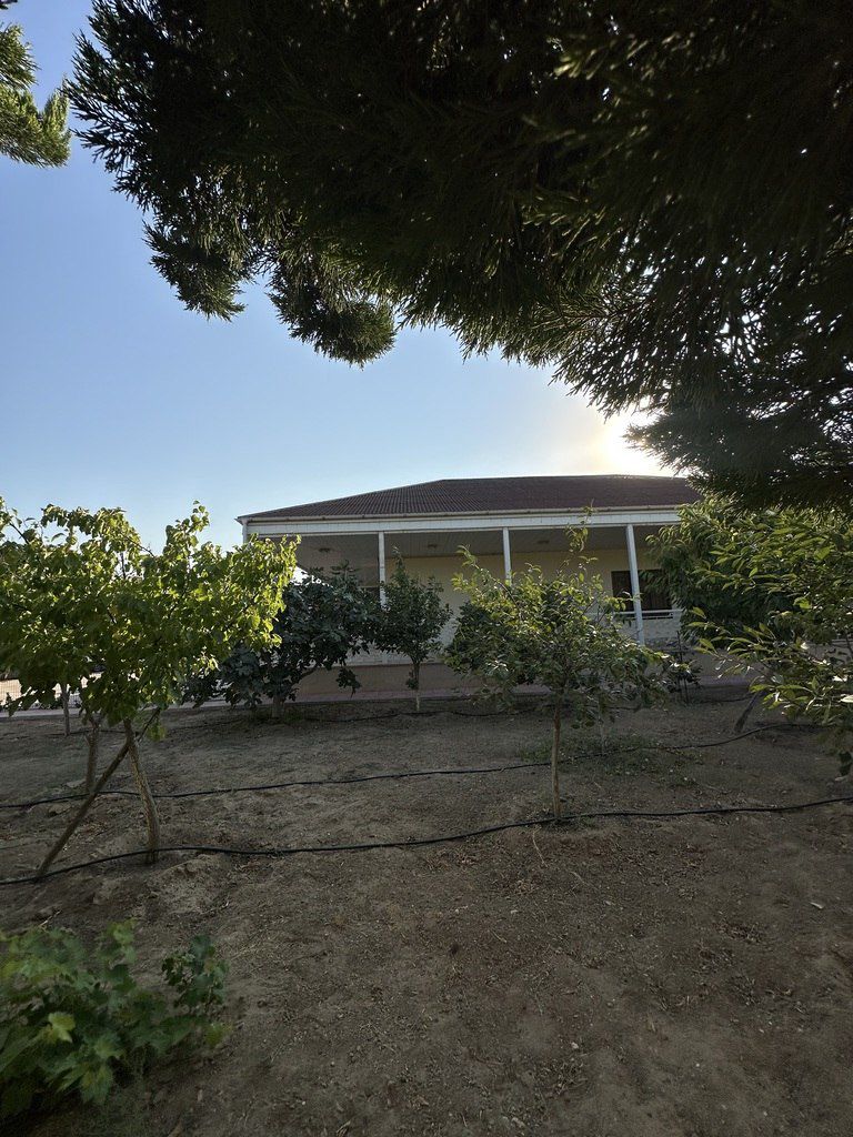 Satılır torpaq 12 sot — Torpaq, Bakı (2)