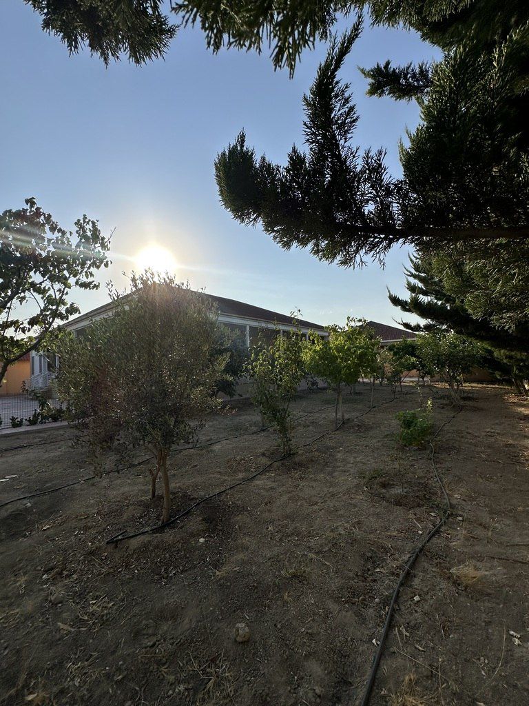 Satılır torpaq 12 sot — Torpaq, Bakı (4)