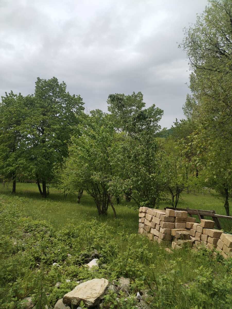 Satılır torpaq 100 sot — Torpaq, Şəki (11)
