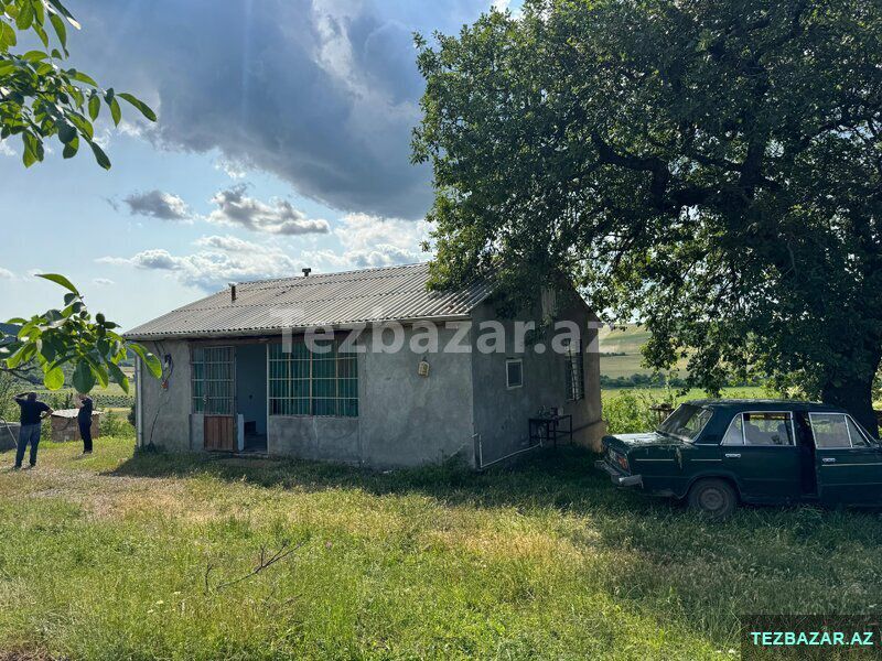 Qoz və fındıq bağı satılır — Torpaq, Bakı (2)