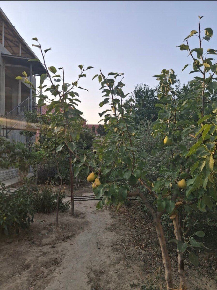 Satılır 6 otaqlı həyət evi/bağ evi 110 m² — Ev, villa, Bakı (11)