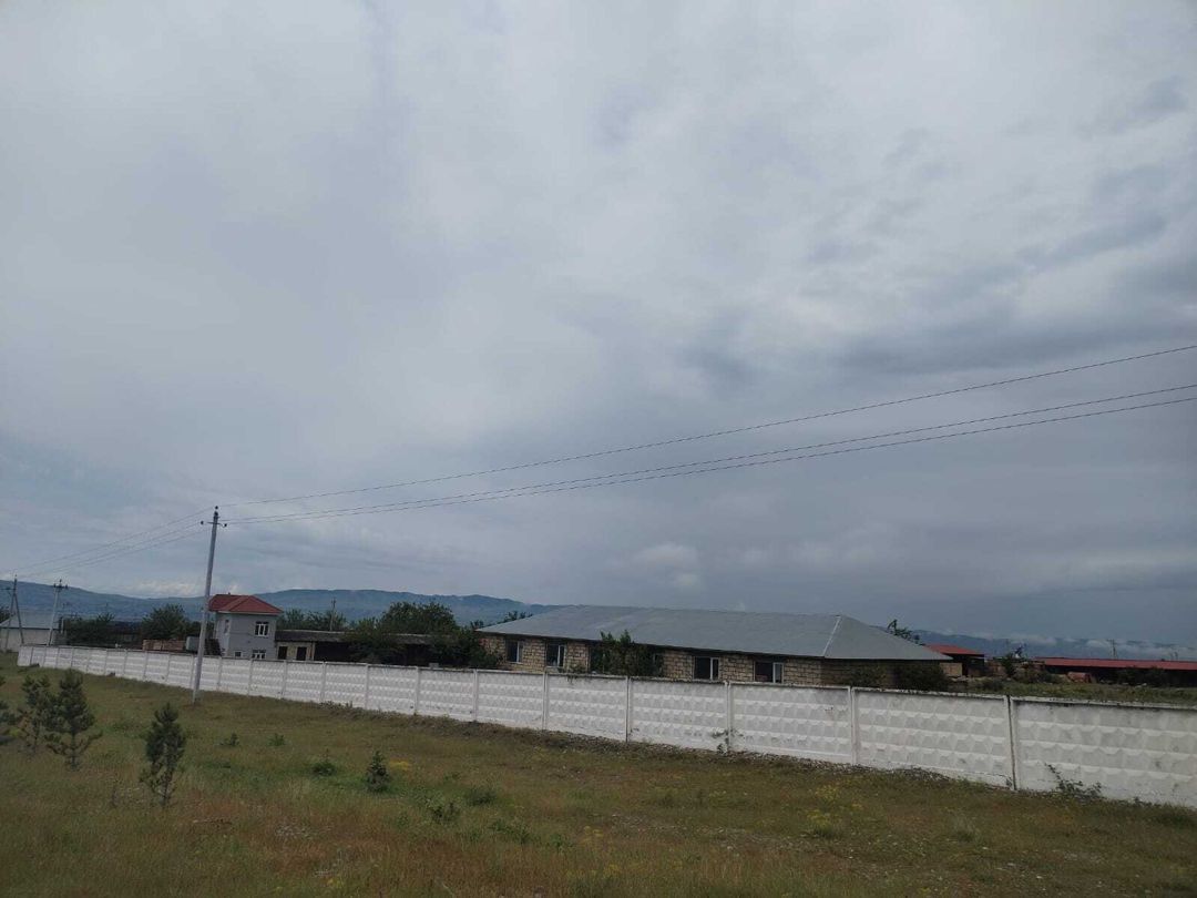 İcarəyə verilir torpaq 50 sot — Torpaq, Şəki (4)