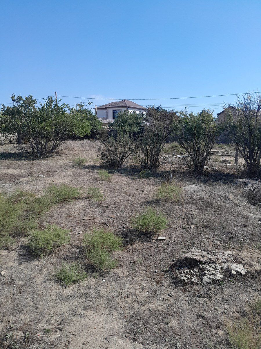 Satılır torpaq 6 sot — Torpaq, Bakı (2)