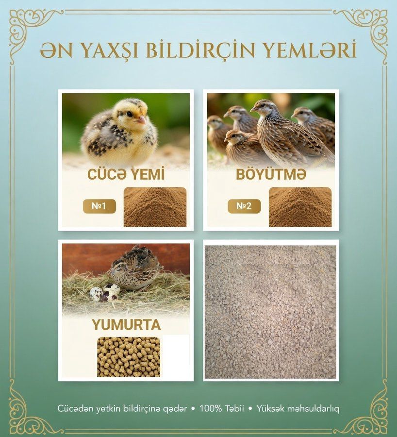 Yüksək proteinli yem — Tibbi avadanlıqlar, Bakı (7)