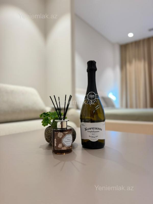 Kirayə 1 otaqlı Bina evi menzil (Yeni tikili), 47 m², Sabunçu rayonu — Mənzil, Bakı (10)
