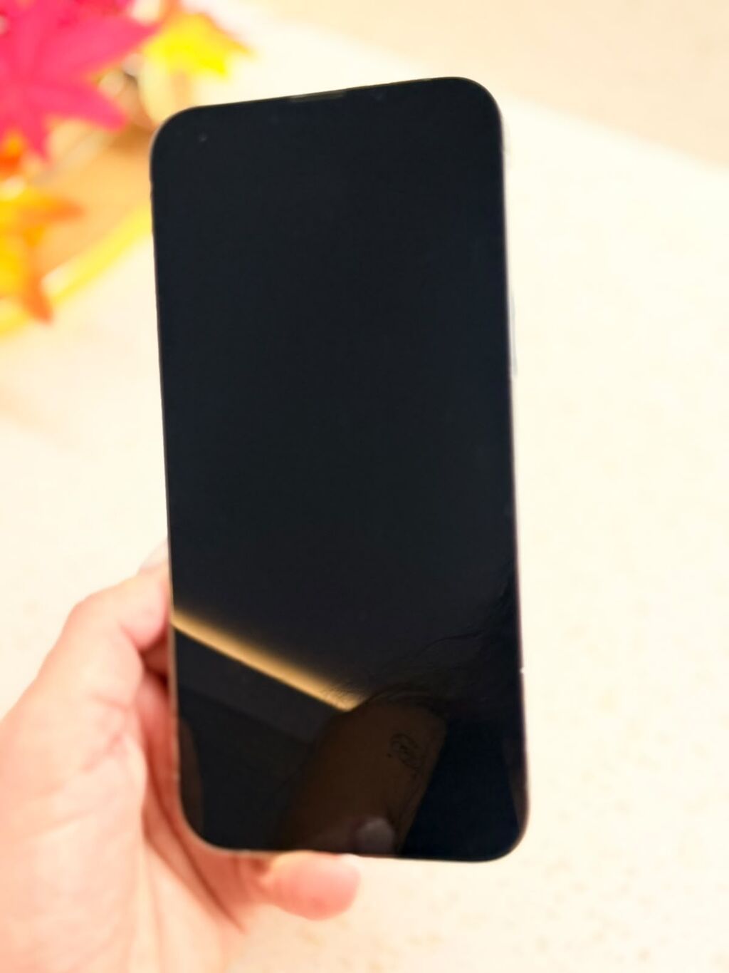 IPhone 13 Pro Max, 256 GB, Gümüşü, Face ID — Apple iPhone, Bakı (4)