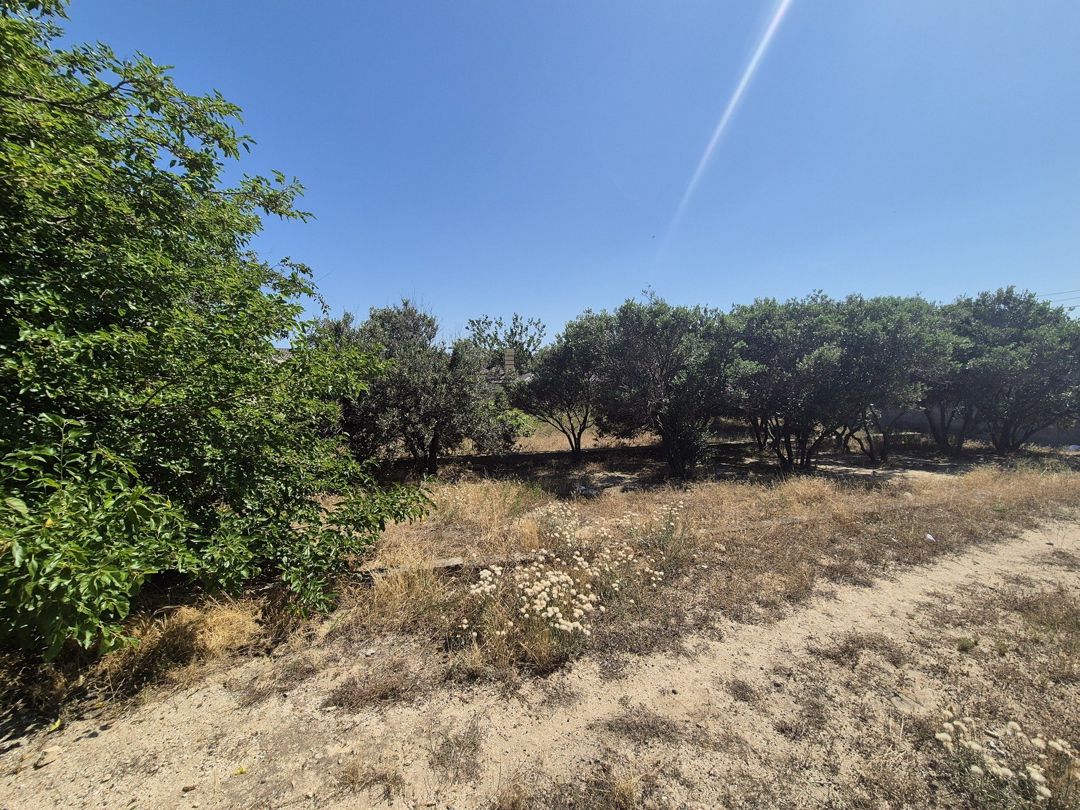 Satılır torpaq 40 sot — Torpaq, Bakı (2)