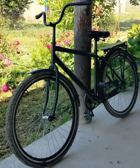 İşlənmiş Şəhər velosipedi Stels, 28", sürətlərin sayı: 1, Ünvandan götürmə — Zərdab