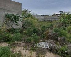 Torpaq Satılır Abşeron r., Masazır q., 8 sot — Torpaq, Bakı (8)