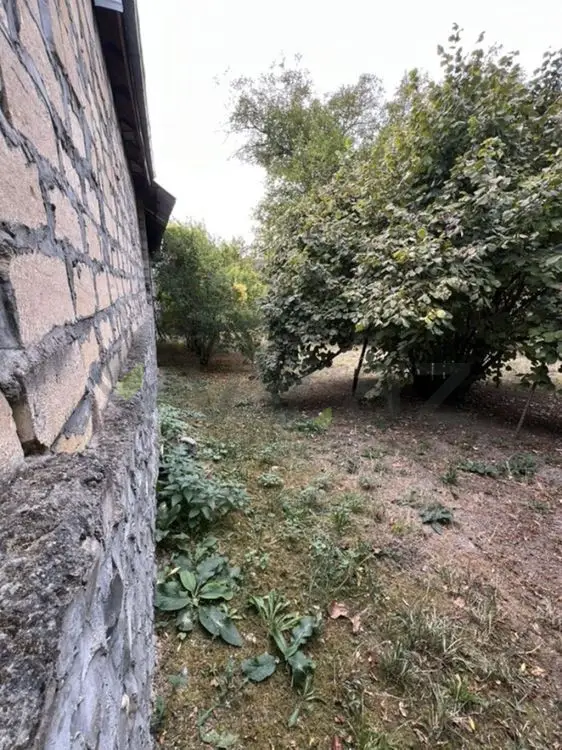 8 sot Torpaq Satılır, Şəki — Torpaq, Şəki (4)