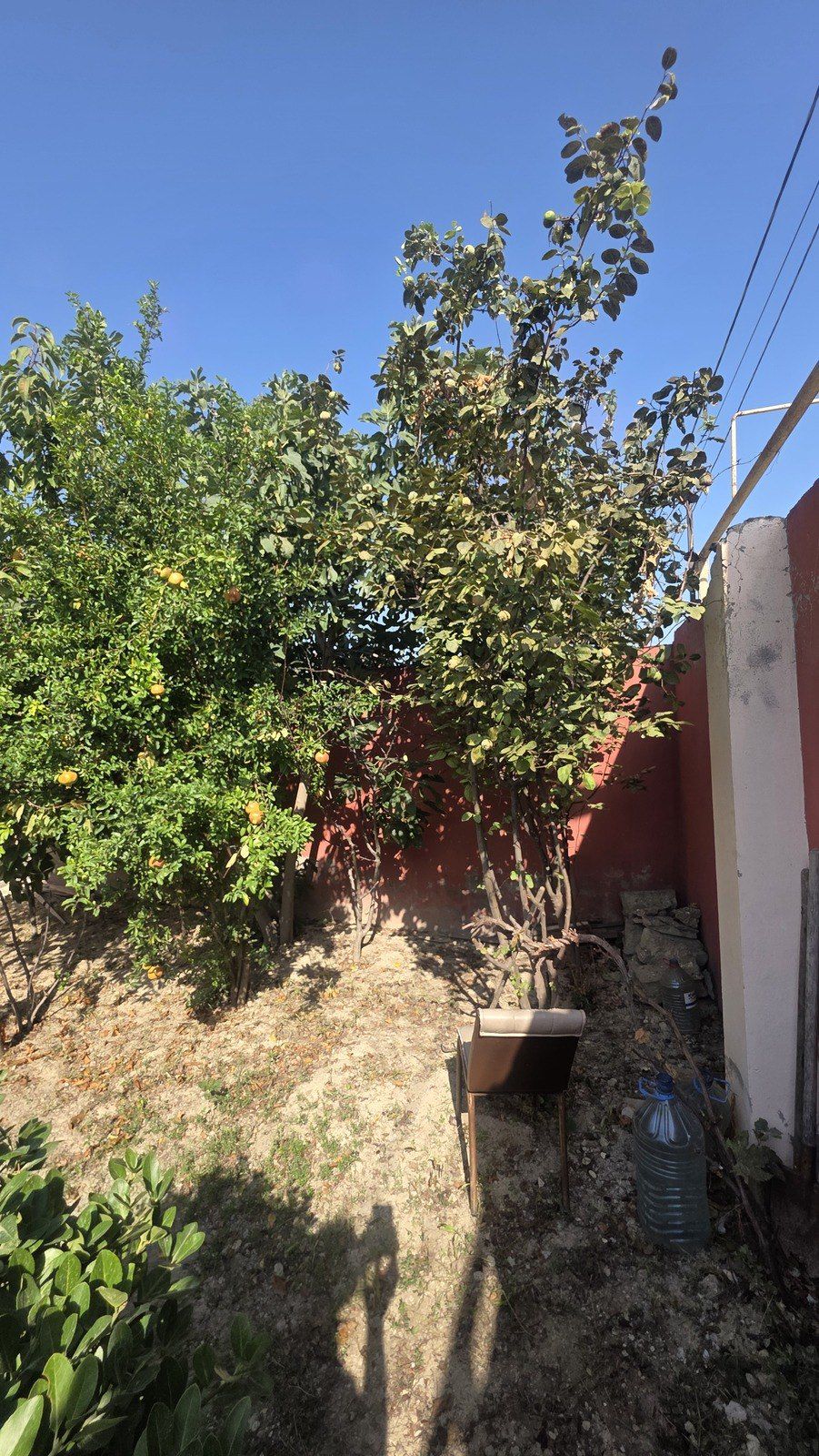 Satılır 3 otaqlı həyət evi/bağ evi 130 m² — Ev, villa, Bakı (6)