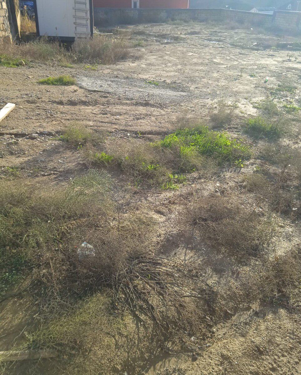 Satılır torpaq 10 sot — Torpaq, Bakı (4)