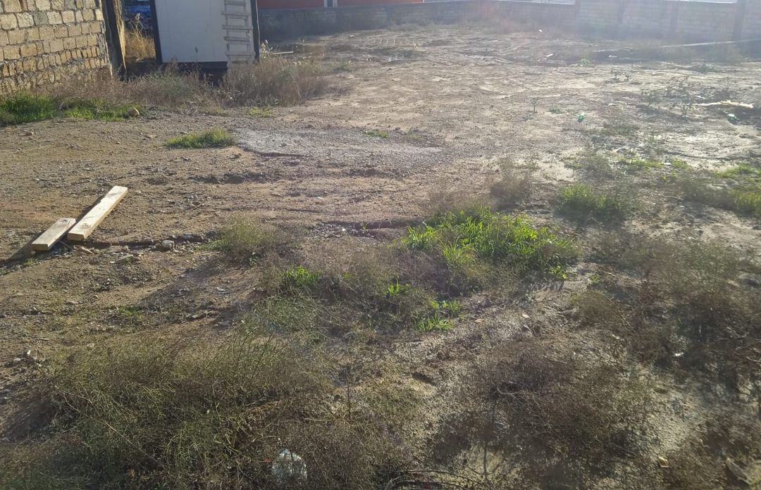 Satılır torpaq 10 sot — Torpaq, Bakı (3)