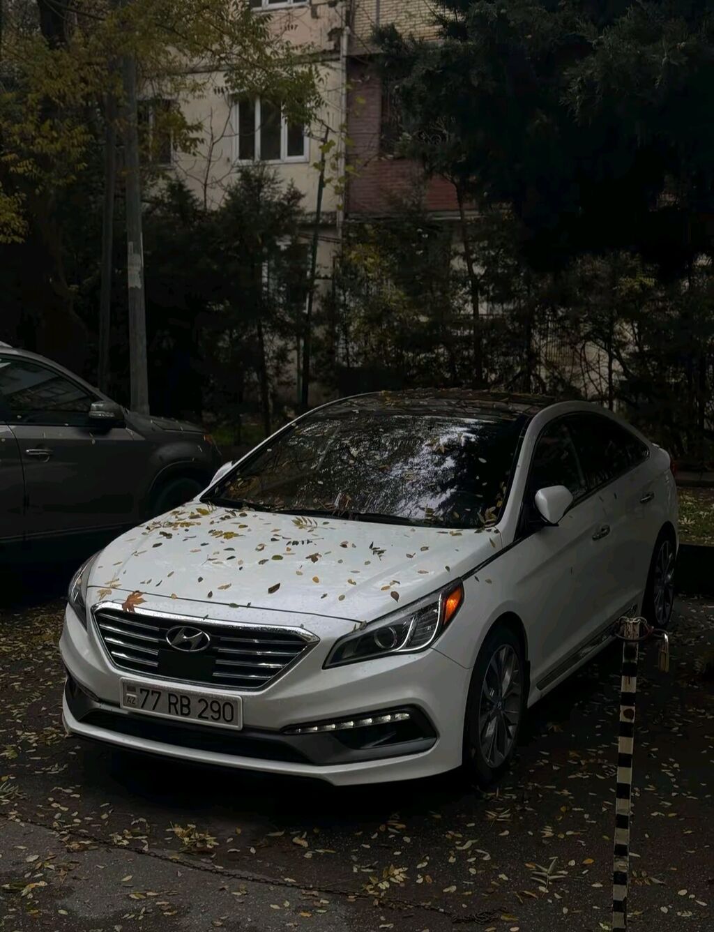 Hyundai Sonata: 2 l 2017 il Sedan 77-RB-290 — Avtomobillər, Şuşa (2)