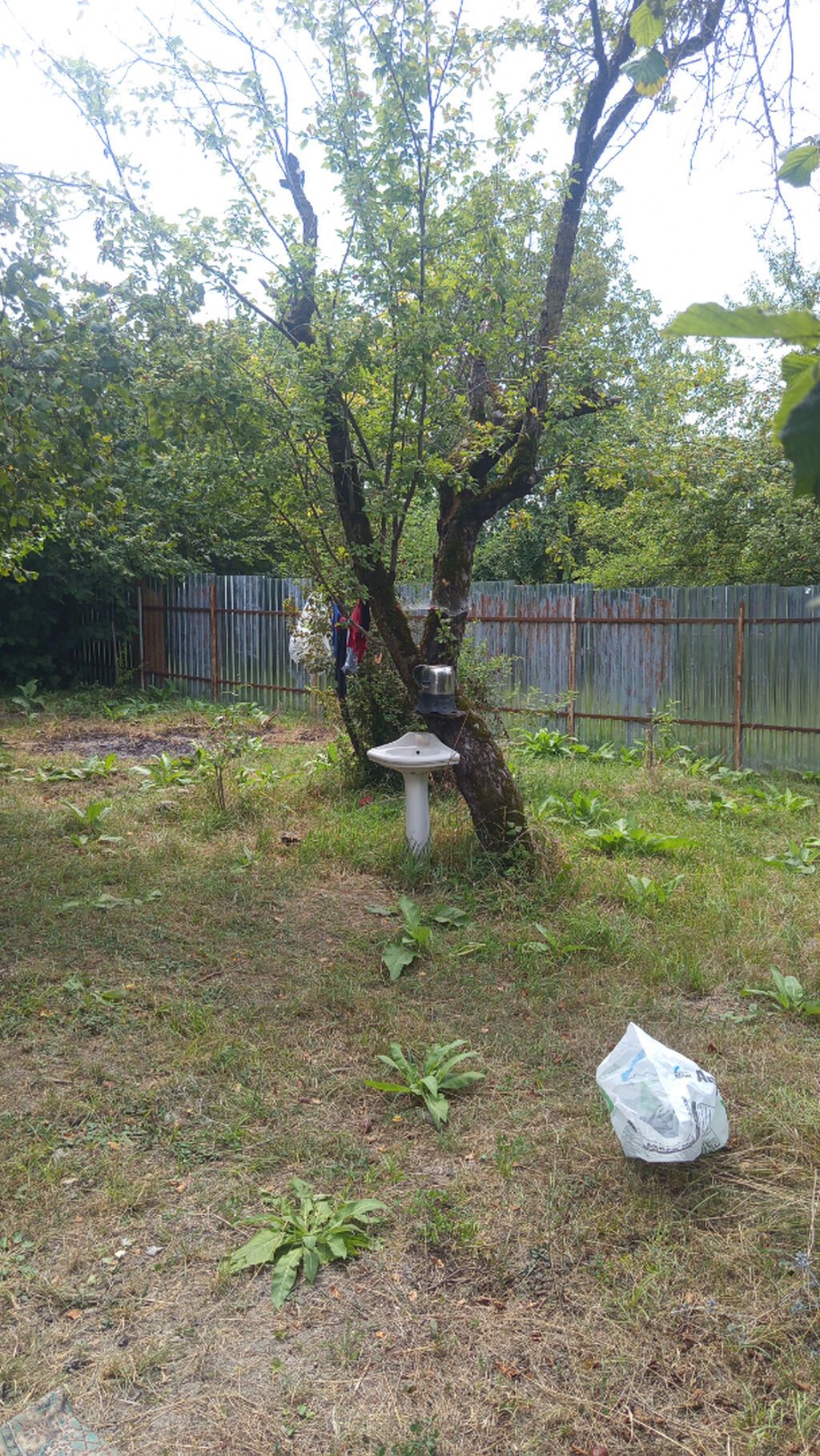 Qəbələ, 15 kv. m, 1 otaqlı — Ev, villa, Qəbələ (4)