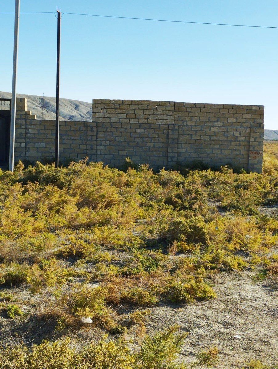 Satılır torpaq 10 sot — Torpaq, Bakı (3)