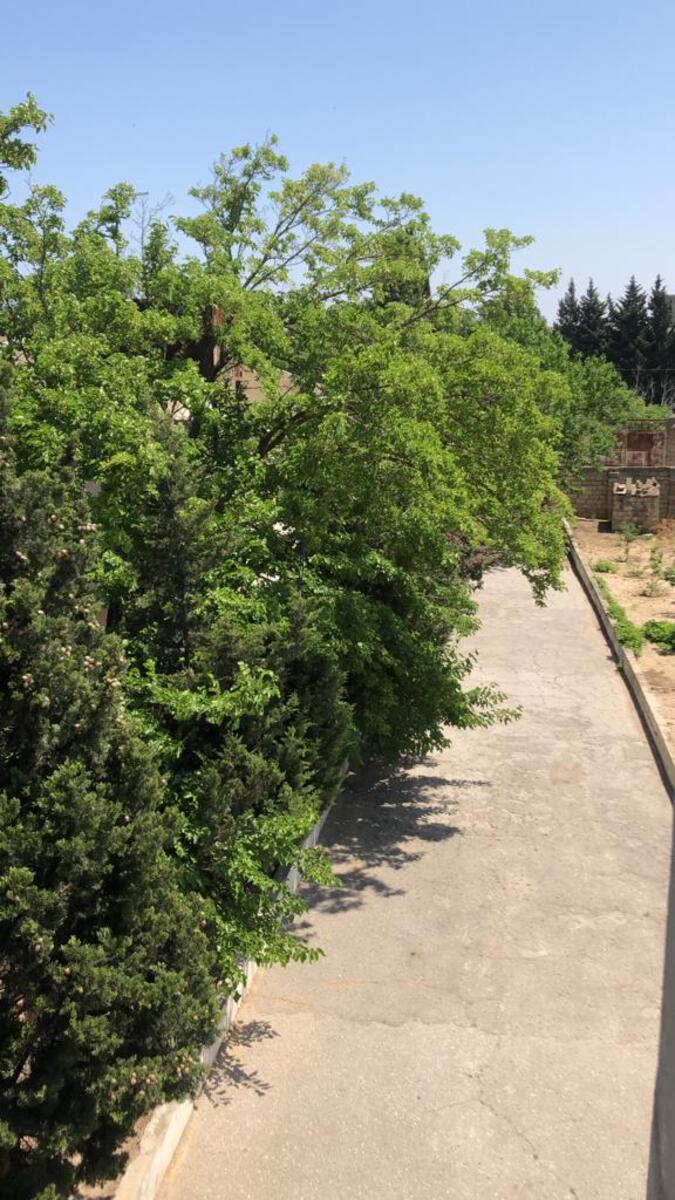 Satılır 5 otaqlı həyət evi/bağ evi 220 m² — Ev, villa, Bakı (5)