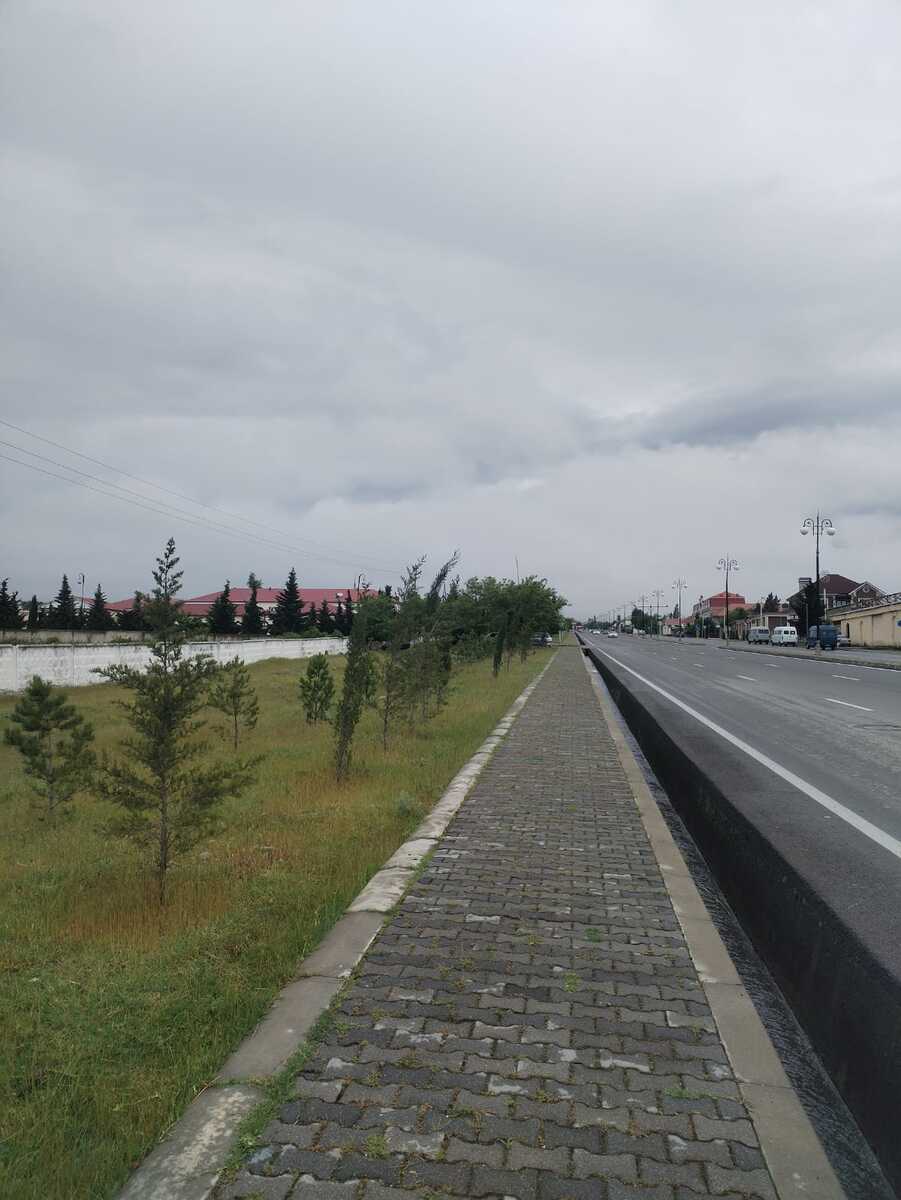 İcarəyə verilir torpaq 50 sot — Torpaq, Şəki (5)