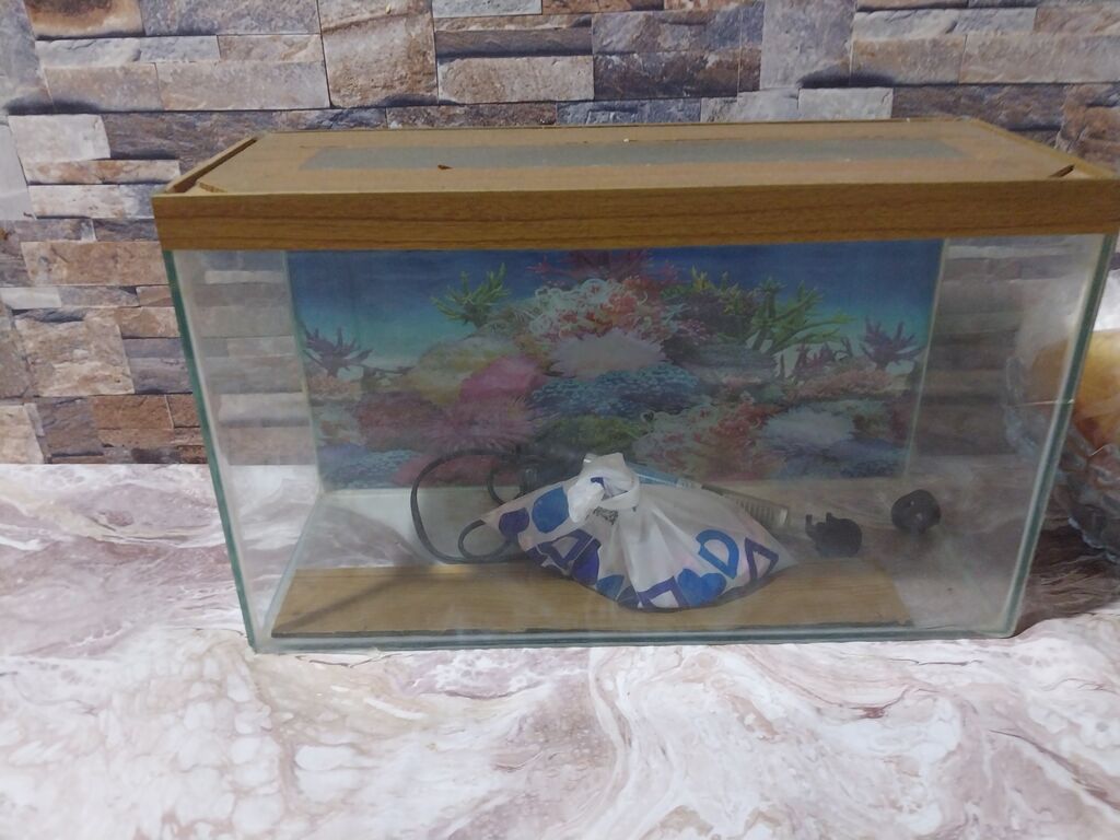 Dördbucaq akvarium, Boş, 10 l, Ünvandan götürmə — Akvariumlar və balıqlar, Bakı (3)