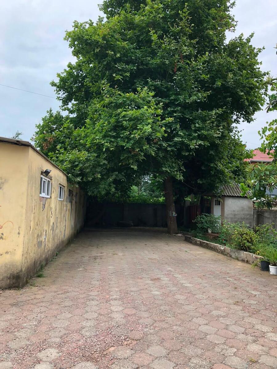 İcarəyə verilir 5 otaqlı həyət evi/bağ evi 150 m² — Ev, villa, Lənkəran (12)