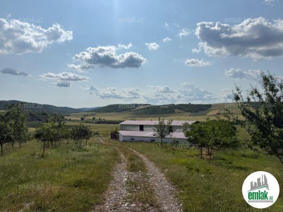 Satılır 1000 sot torpaq İsmayıllı — Torpaq (12)