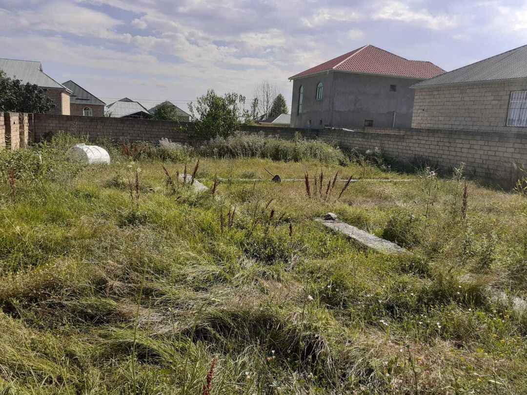 Satılır torpaq 6 sot — Torpaq, Qəbələ (2)