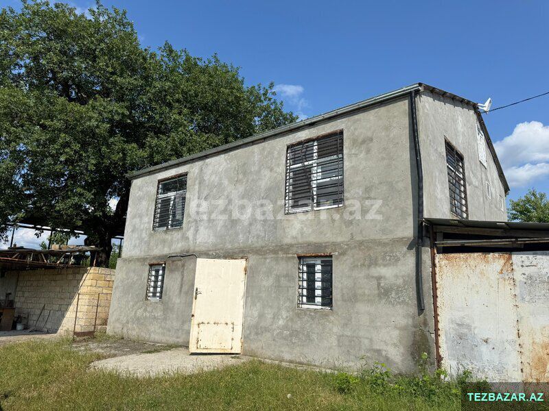 Qoz və fındıq bağı satılır — Torpaq, Bakı (9)