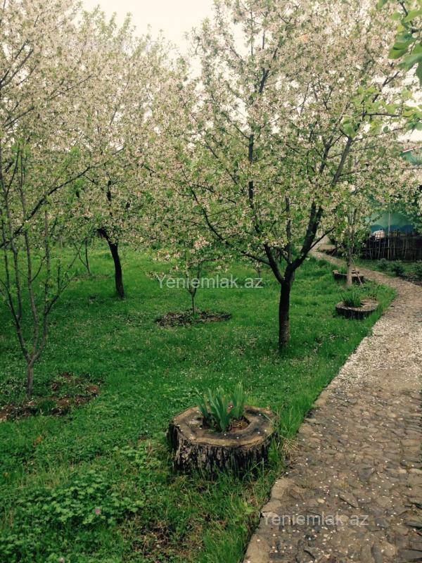 Günlük 3 otaqlı Həyət evi / Villa, 100 m², Quba — Ev, villa, Quba (7)