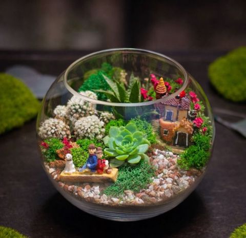 Şüşə qabda mini bağ – dekorativ terrarium - Şəffaf şar formalı şüşə — Bakı