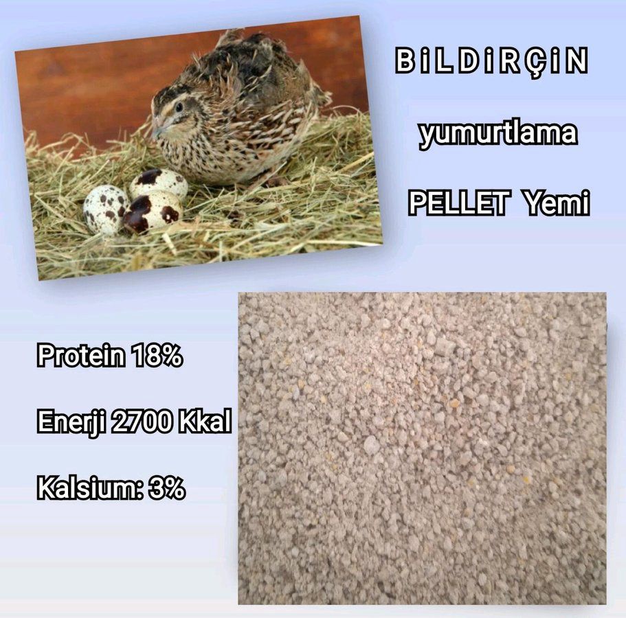 Yüksək proteinli yem — Tibbi avadanlıqlar, Bakı (9)