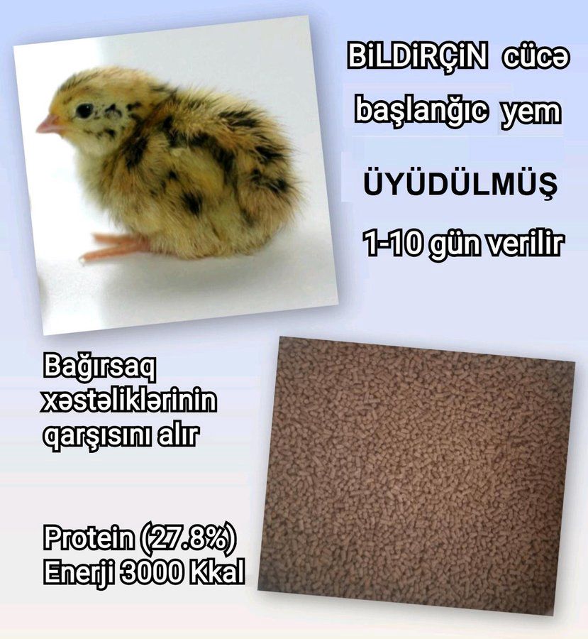 Yüksək proteinli yem — Tibbi avadanlıqlar, Bakı (12)
