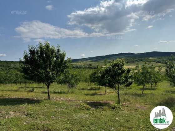 Satılır 1000 sot torpaq İsmayıllı — Torpaq (4)