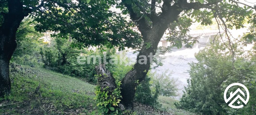 Satılır torpaq 25sot, İsmayıllı — Torpaq, İsmayıllı (7)