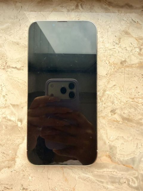 IPhone 13 Pro Max, 256 GB, Gümüşü, Face ID — Bakı