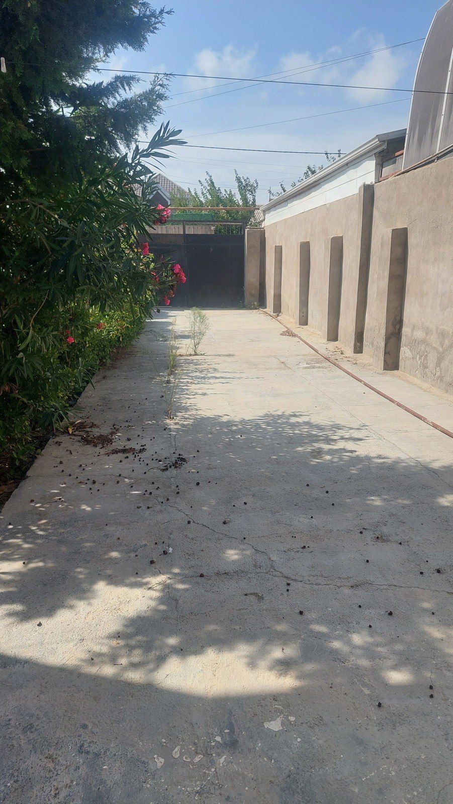 Satılır 7 otaqlı həyət evi/bağ evi 256.5 m² — Ev, villa, Bakı (3)
