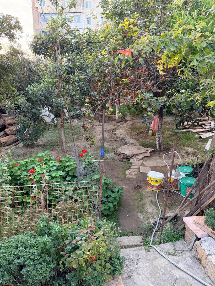 Satılır torpaq 5.3 sot — Torpaq, Bakı (5)