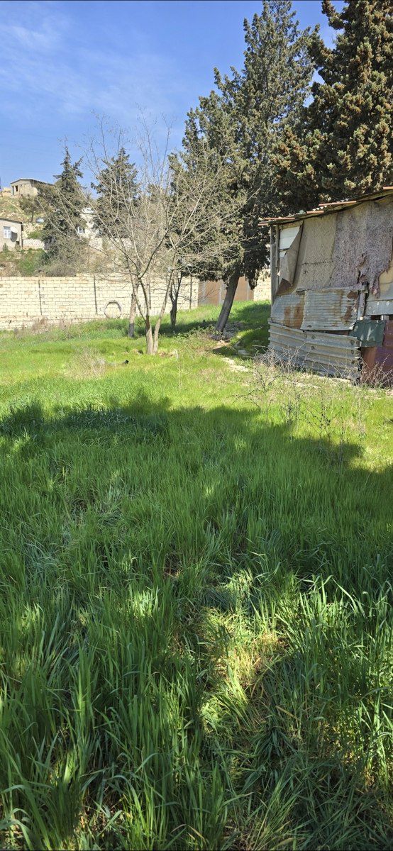 Satılır torpaq 9 sot — Torpaq, Bakı (7)