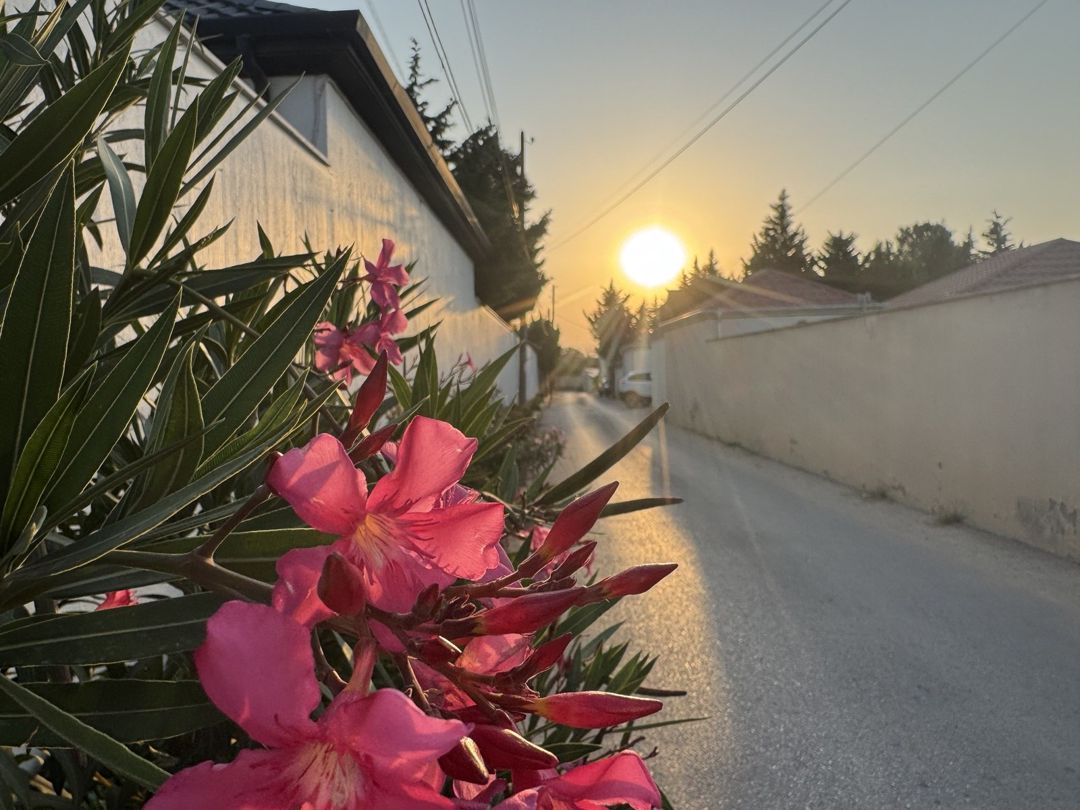 Satılır torpaq 6 sot — Torpaq, Bakı (7)