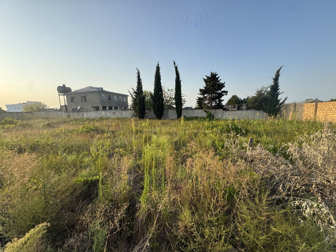 Satılır torpaq 6 sot — Torpaq, Bakı (2)