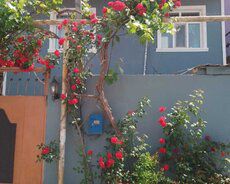 Həyət evləri Satılır Sabunçu r., Maştağa q., 3 otaq, 80 m² — Ev, villa, Bakı (8)