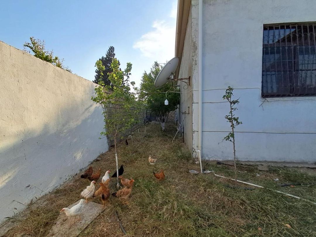 Satılır 4 otaqlı həyət evi/bağ evi 200 m² — Ev, villa, Bakı (10)