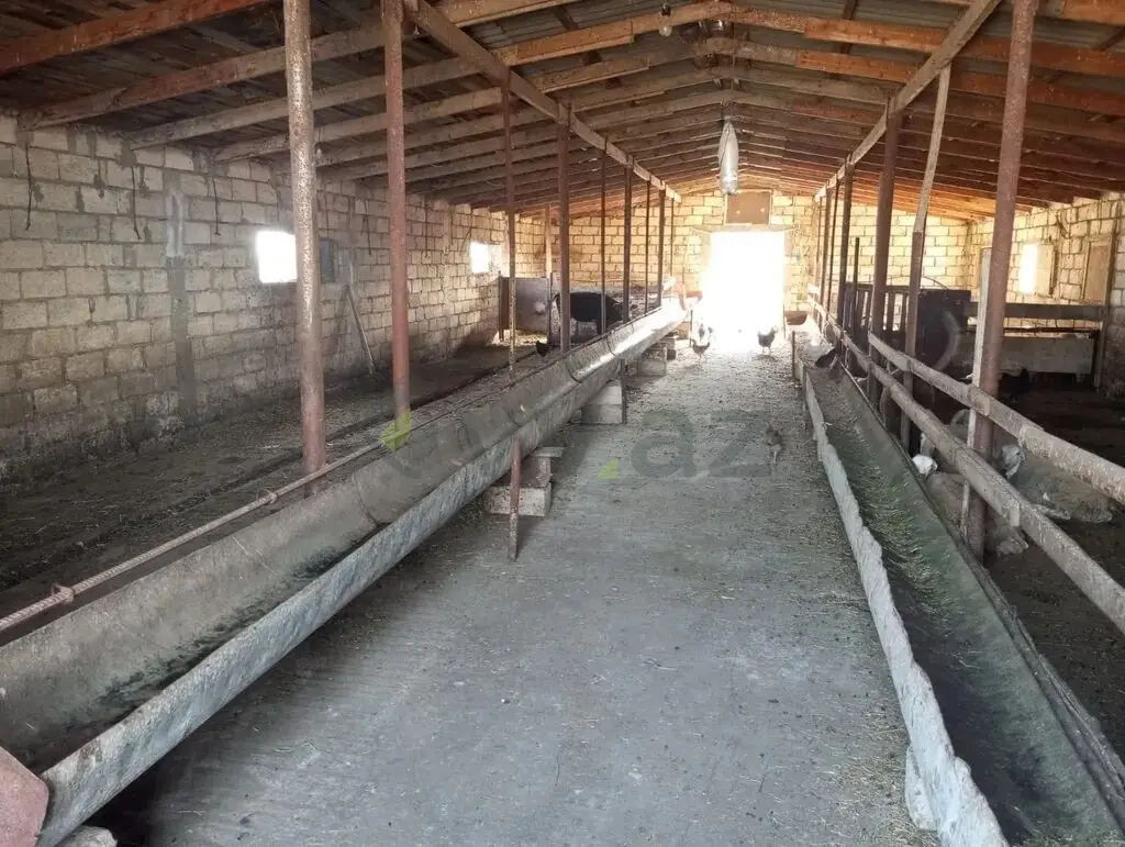 3 otaqlı Həyət evi Satılır, Xızı — Ev, villa, Xızı (4)