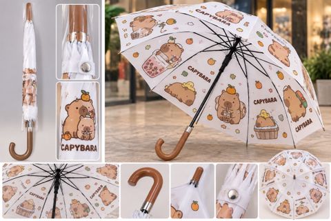Uşaqlar üçün capybara çətiri (kod: lo50192-65) — Bakı