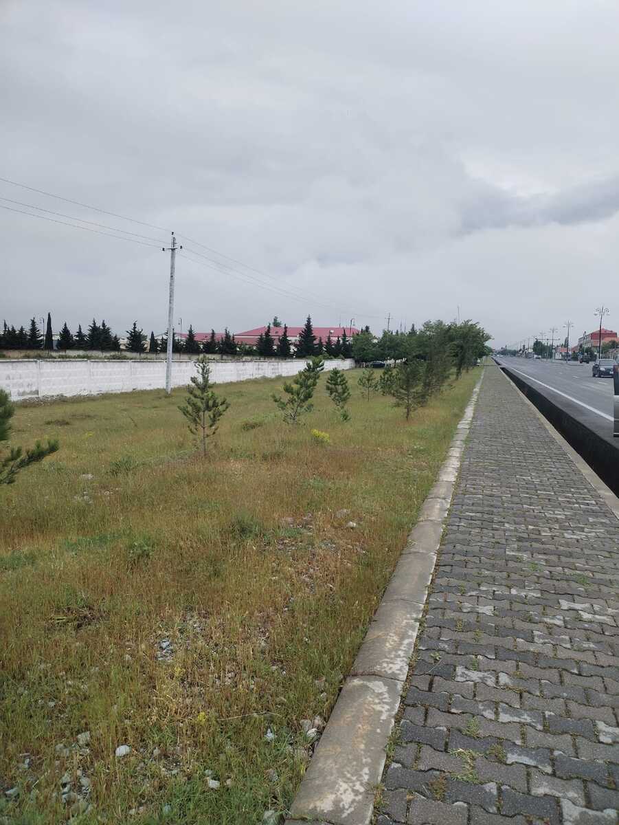İcarəyə verilir torpaq 50 sot — Torpaq, Şəki (3)