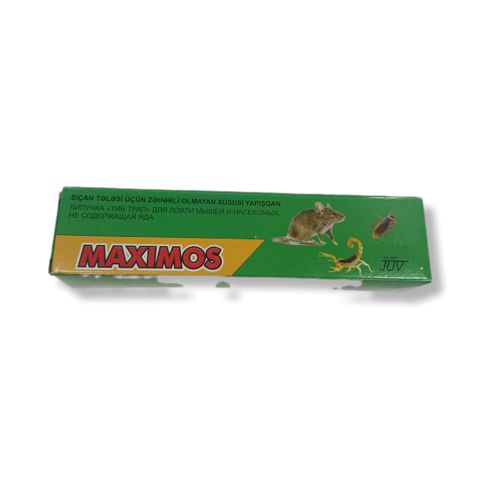 Gəmiricilərə qarşı tələ Maximos — Bakı