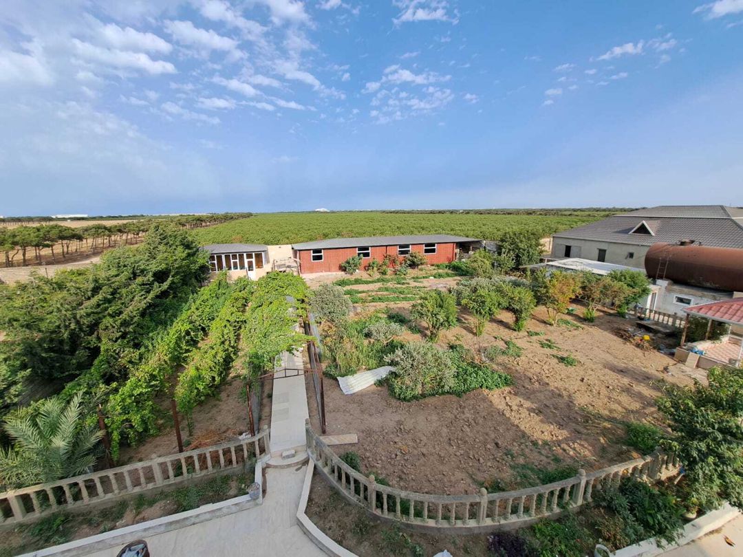 İcarəyə verilir 8 otaqlı həyət evi/bağ evi 500 m² — Ev, villa, Bakı (4)