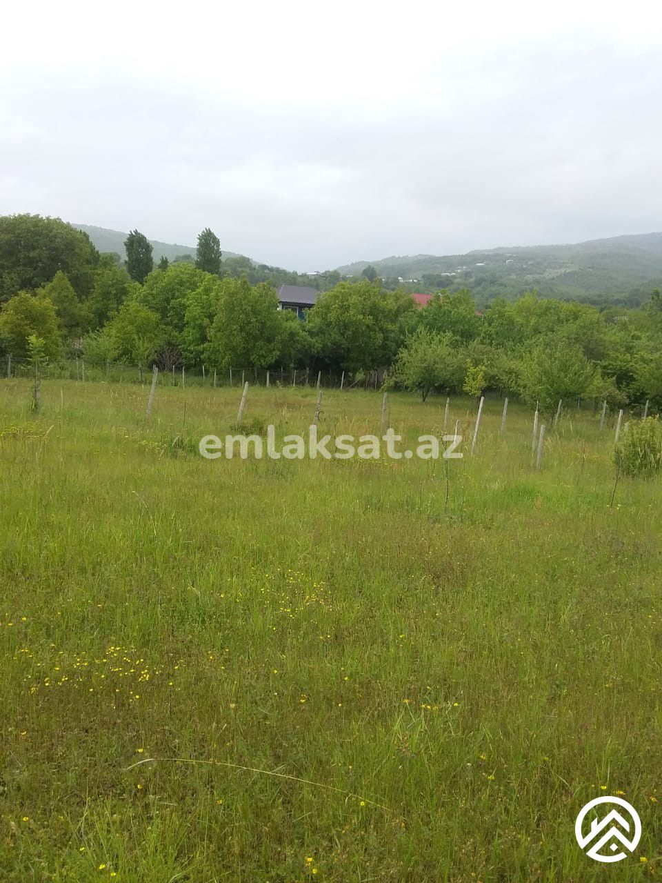 Satılır torpaq 50sot, İsmayıllı — Torpaq, İsmayıllı (6)