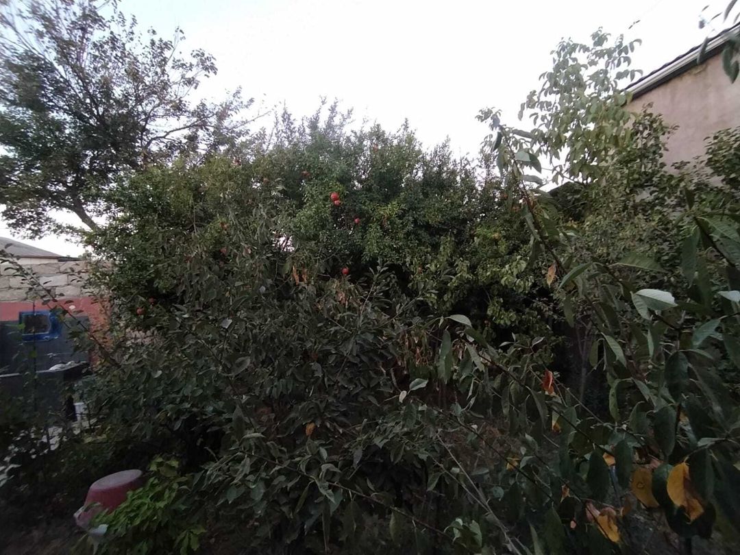 Satılır 5 otaqlı həyət evi/bağ evi 200 m² — Ev, villa, Xırdalan (7)