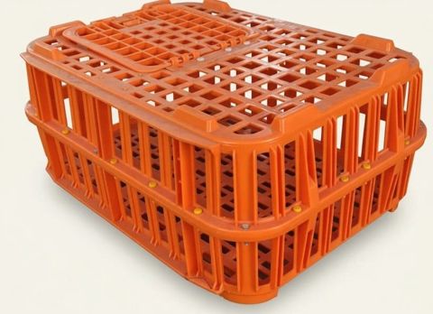 Plastik quş daşıyıcı səbət, toyuq, qaz, ördək və digər quşlar üçün prl_0395 — Bakı